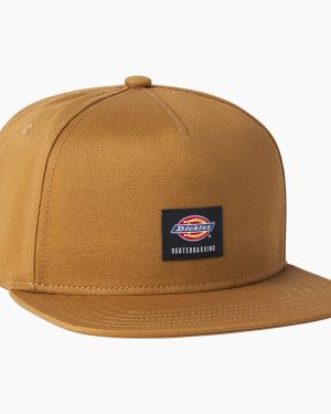 Dickies Skateboarding Mid Pro Cap